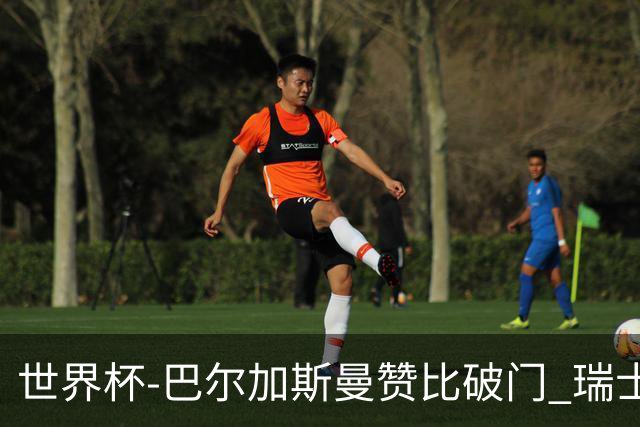 世界杯-巴尔加斯曼赞比破门 瑞士2-1加拿大小组第一