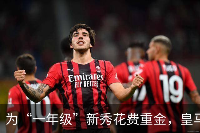 为“一年级”新秀花费重金，皇马到底图什么？