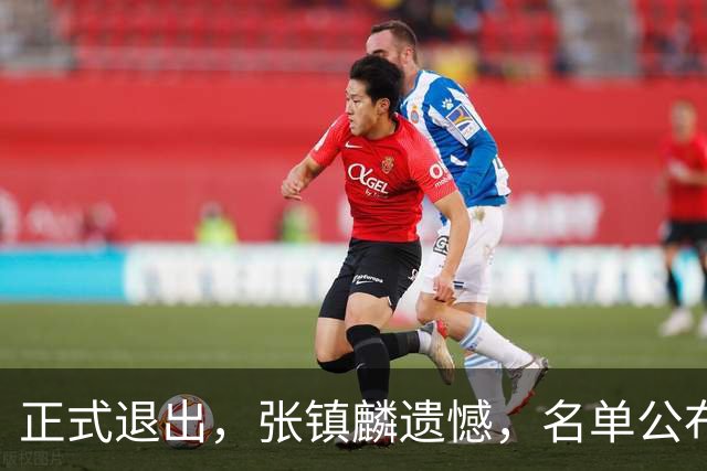 正式退出，张镇麟遗憾，名单公布，原因曝光，合同到期，和娇妻庆祝夺冠