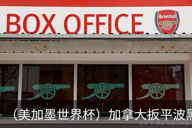 （美加墨世界杯）加拿大扳平波黑 获队史世界杯首分